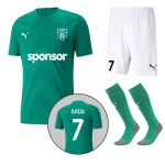 Puma Teamglory Jersey Yeşil Futbol Forması 70501705